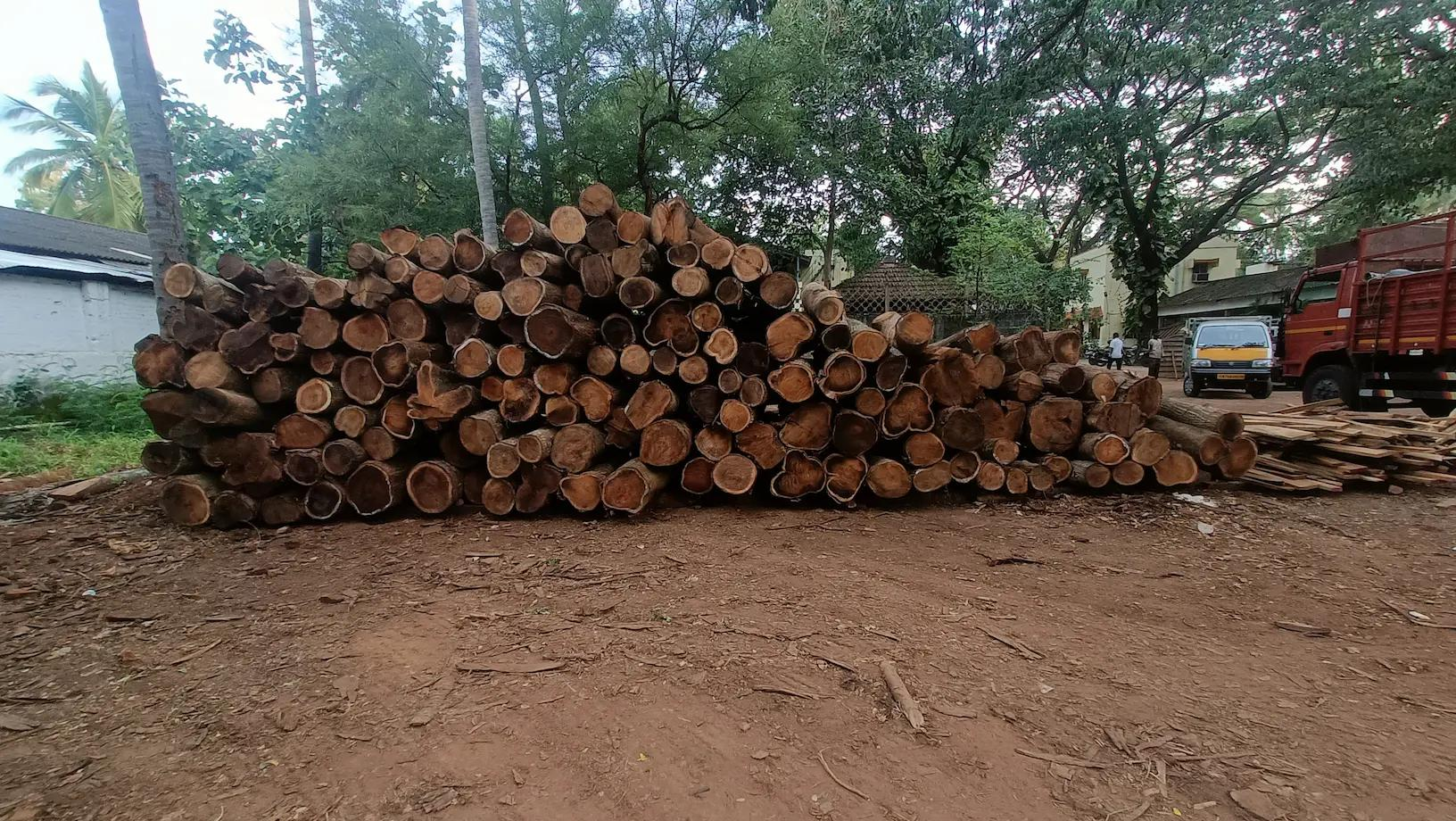 Wood selection
